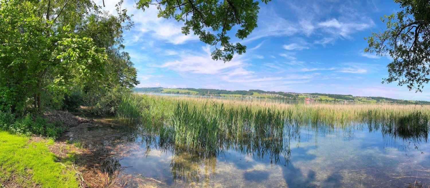 1125m² Land in Mattsee, Austria No. 155820