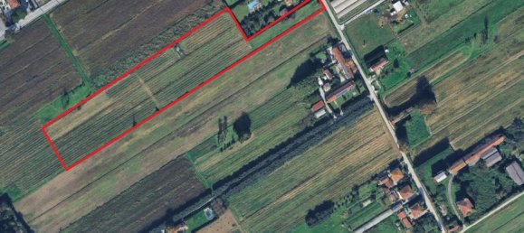 Terrain à Massarosa, Italy 14998m² No. 261757 5