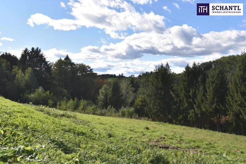 Terreno em Kainbach bei Graz, Austria N.º 245896