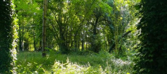 Castelos T5 em Marcilly-sur-Seine, France N.º 344731 13