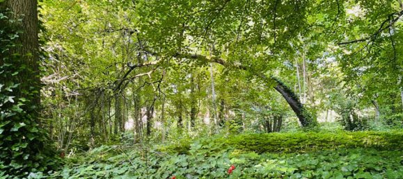 Castelos T5 em Marcilly-sur-Seine, France N.º 344731 14