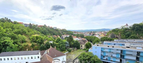 1 bedroom Apartment in Vienna, Austria No. 142697 13