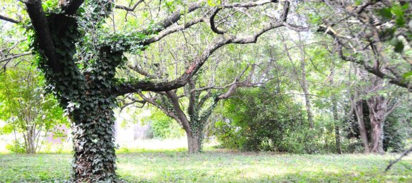 3-Zimmer Haus in Hornstein, Austria, Nr. 217235 15