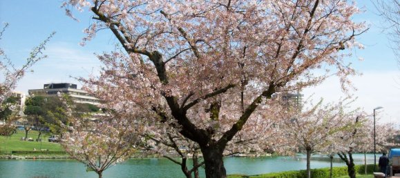 Apartamento de 2 divisões em Rome, Italy N.º 70255 21