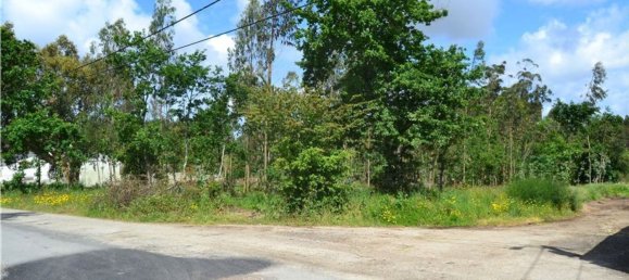 قطعة أرض في Valega, Portugal 3510متر مربع رقم 89548 4