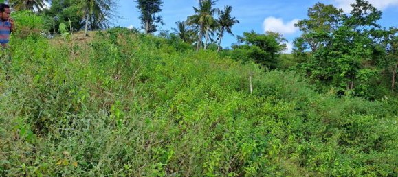 Grundstück in West Nusa Tenggara, Indonesia 3000m², Nr. 4066 18