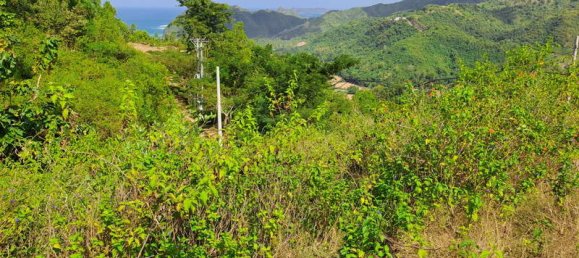 Grundstück in West Nusa Tenggara, Indonesia 3000m², Nr. 4066 3