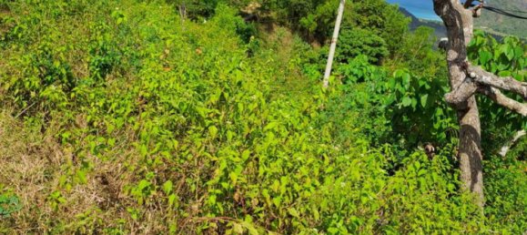 Grundstück in West Nusa Tenggara, Indonesia 3000m², Nr. 4066 4