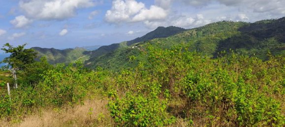 Grundstück in West Nusa Tenggara, Indonesia 3000m², Nr. 4066 9