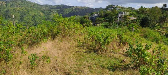 Grundstück in West Nusa Tenggara, Indonesia 3000m², Nr. 4066 2