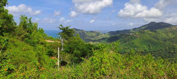 Grundstück in West Nusa Tenggara, Indonesia 3000m², Nr. 4066 17