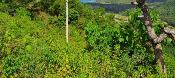 Grundstück in West Nusa Tenggara, Indonesia 3000m², Nr. 4066 11