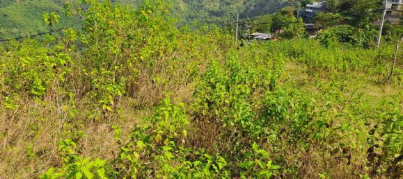 Grundstück in West Nusa Tenggara, Indonesia 3000m², Nr. 4066 12