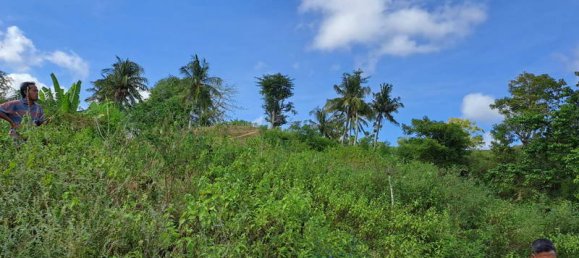 Grundstück in West Nusa Tenggara, Indonesia 3000m², Nr. 4066 15