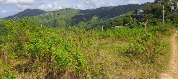 Grundstück in West Nusa Tenggara, Indonesia 3000m², Nr. 4066 14