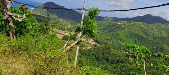 Grundstück in West Nusa Tenggara, Indonesia 3000m², Nr. 4066 21