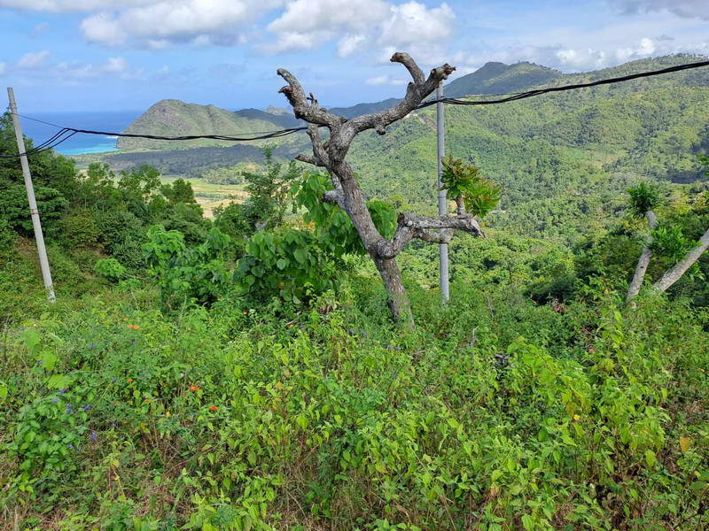 Grundstück in West Nusa Tenggara, Indonesia 3000m², Nr. 4066