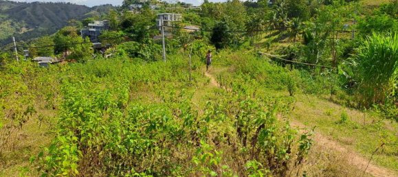 Grundstück in West Nusa Tenggara, Indonesia 3000m², Nr. 4066 7