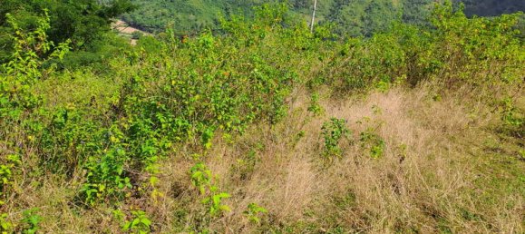 Grundstück in West Nusa Tenggara, Indonesia 3000m², Nr. 4066 13