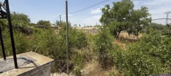 6 bedrooms House in Los Martinez Del Puerto, Spain No. 144878 9