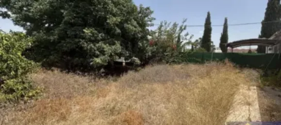 6 bedrooms House in Los Martinez Del Puerto, Spain No. 144878 14