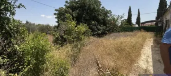 6 bedrooms House in Los Martinez Del Puerto, Spain No. 144878 6