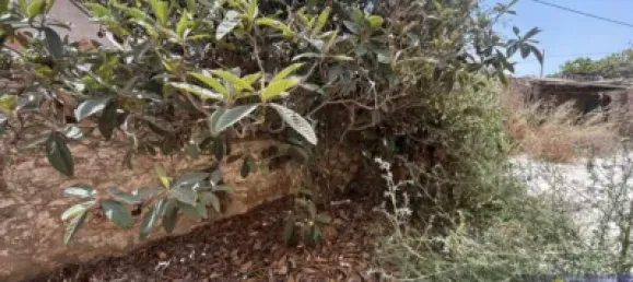 6 bedrooms House in Los Martinez Del Puerto, Spain No. 144878 35