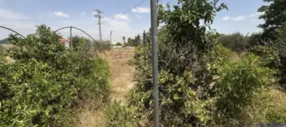 6 bedrooms House in Los Martinez Del Puerto, Spain No. 144878 8