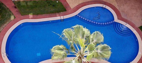 3 Schlafzimmer Penthouse in Torrevieja, Spain, Nr. 181459 17