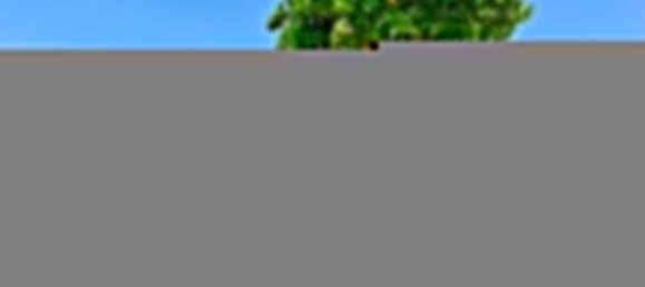 9 غرف نوم قلاع في Mondim de Basto, Portugal رقم 51164 44