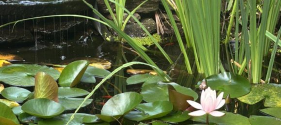 Dúplex de 5 dormitorios en Siegen-Wittgenstein, Germany No. 313123 16