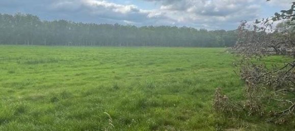 6-salle Ferme à County of Bentheim, Germany No. 196009 14