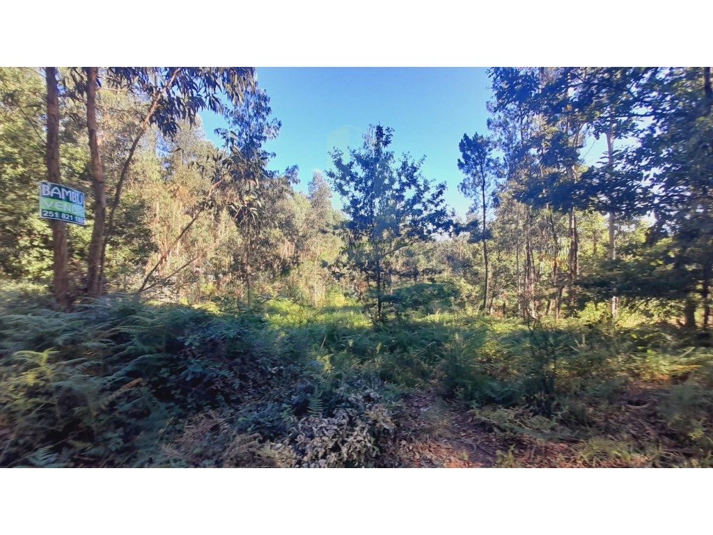 2400m² Land in Valenca, Portugal No. 50376