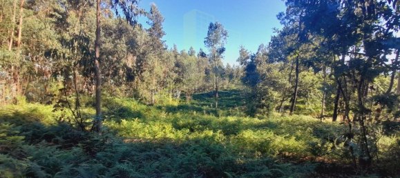 Grundstück in Valenca, Portugal 2400m², Nr. 50376 2