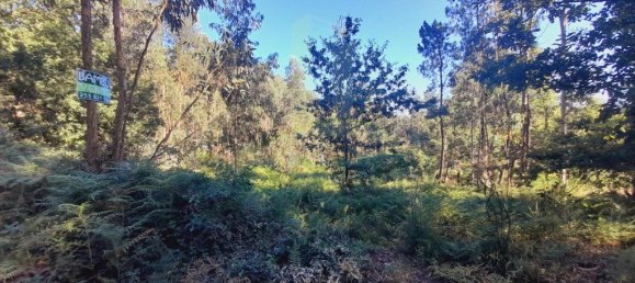 Grundstück in Valenca, Portugal 2400m², Nr. 50376 5