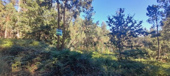 Grundstück in Valenca, Portugal 2400m², Nr. 50376 6