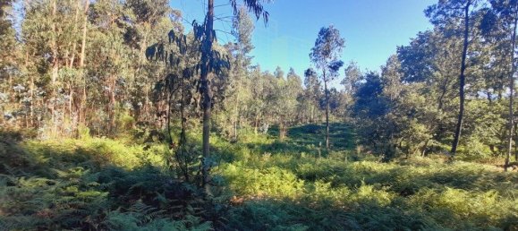 Grundstück in Valenca, Portugal 2400m², Nr. 50376 3