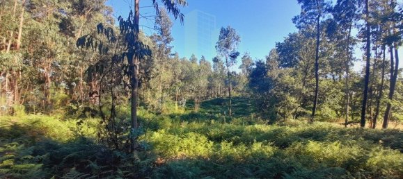 Grundstück in Valenca, Portugal 2400m², Nr. 50376 4