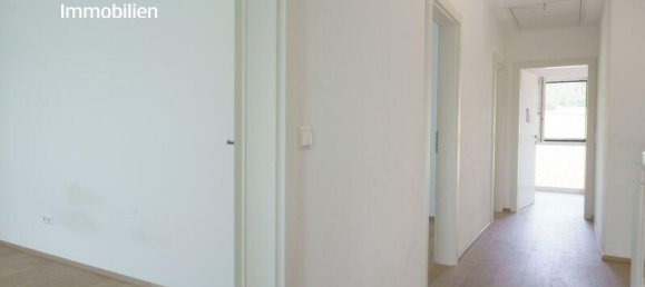 6-salle Maison à Klosterneuburg, Austria No. 169249 15