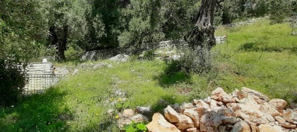 Отель, гостиница 2200м² в Керкира, Греция № 3028 14