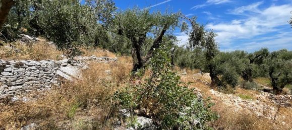 Отель, гостиница 2200м² в Керкира, Греция № 3028 11