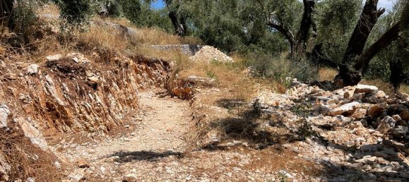 Отель, гостиница 2200м² в Керкира, Греция № 3028 5