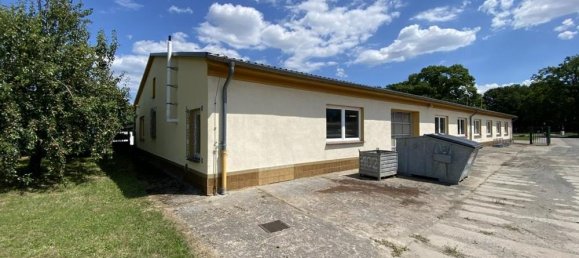  عقار تجاري في Mecklenburgische Seenplatte, Germany 620متر مربع رقم 155372 6