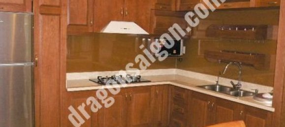 146m² Apartment in District 7, Vietnam No. 11153 2