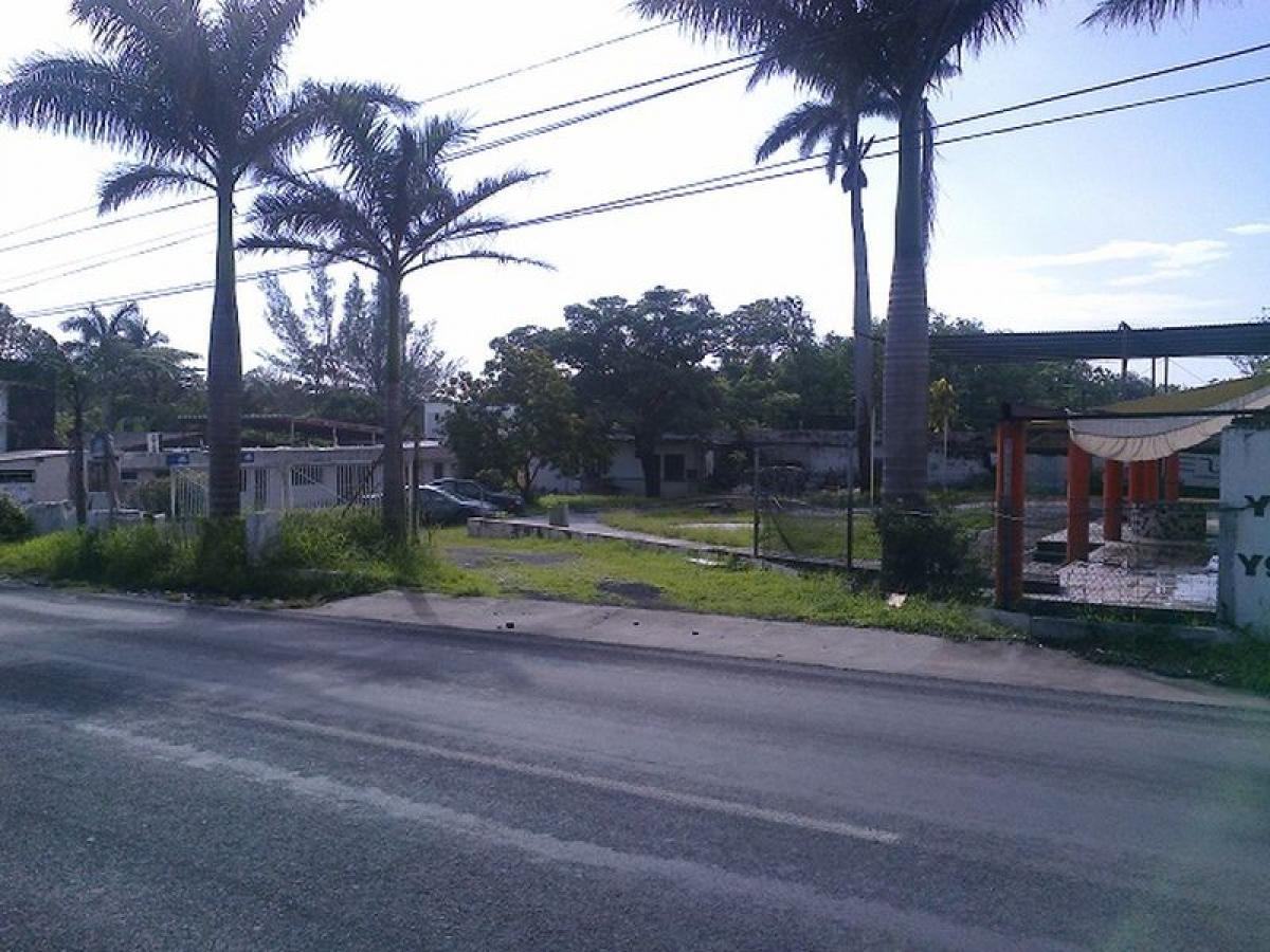  Land in Veracruz, Mexico No. 206768
