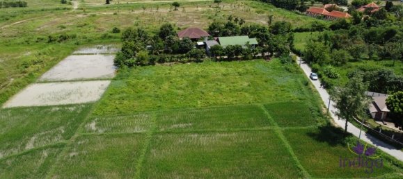  Land in Chiang Mai, Thailand No. 26930 10