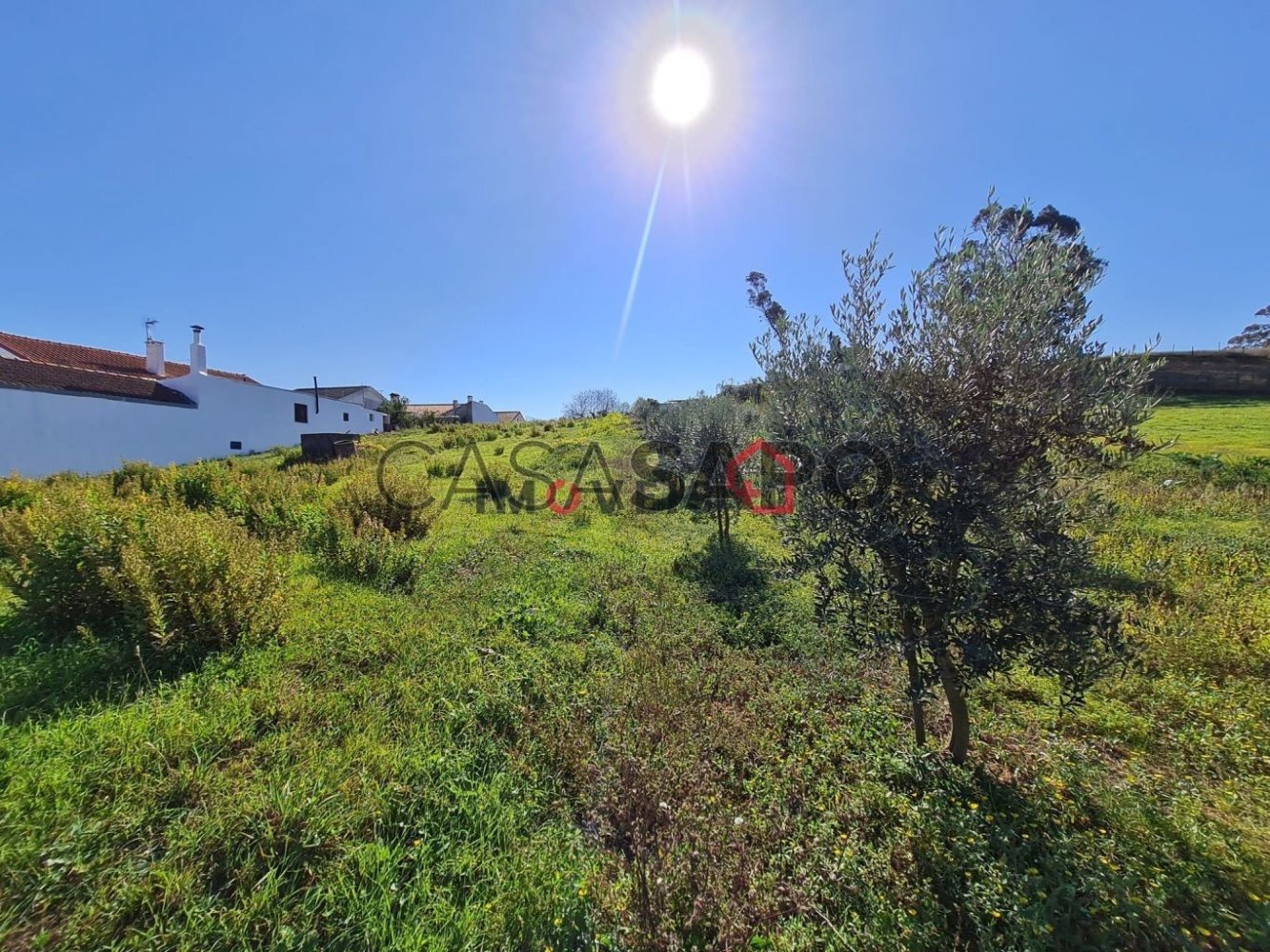  Land in Leiria, Portugal No. 336550