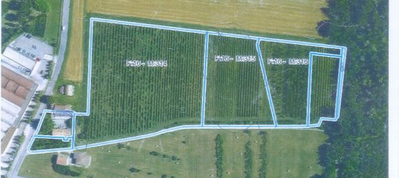 5 chambres Maison à Valsamoggia, Italy No. 347703 39