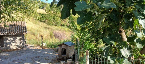 7 rooms House in Zocca, Italy No. 295666 8