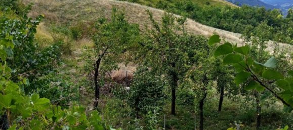 7 rooms House in Zocca, Italy No. 295666 28